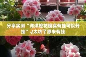 分享实测“洋洋挖花确实有挂可以开挂”√太坑了原来有挂