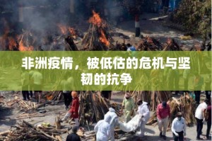 重大通报鑫耀互娱怎么开挂呢(其实真的能开挂)