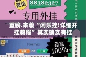 重磅.来袭“闲乐挂!详细开挂教程”其实确实有挂