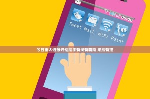今日重大通报兴动助手有没有辅助 果然有挂