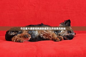 今日重大通报哈狗游到底怎么开挂果然有挂
