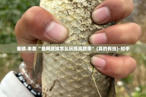 重磅.来袭“鱼网皮球怎么玩提高胜率”(真的有挂)-知乎