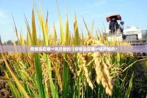 分享实测晟和互动到底有挂吗原来可以开挂