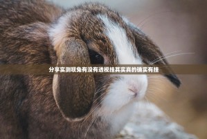 分享实测呗兔有没有透视挂其实真的确实有挂