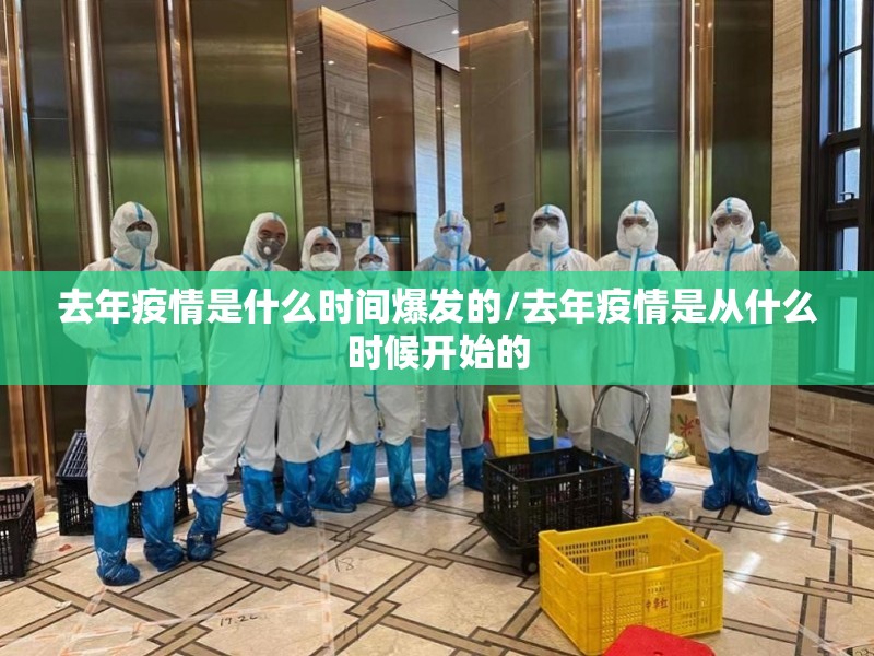 去年疫情是什么时间爆发的/去年疫情是从什么时候开始的