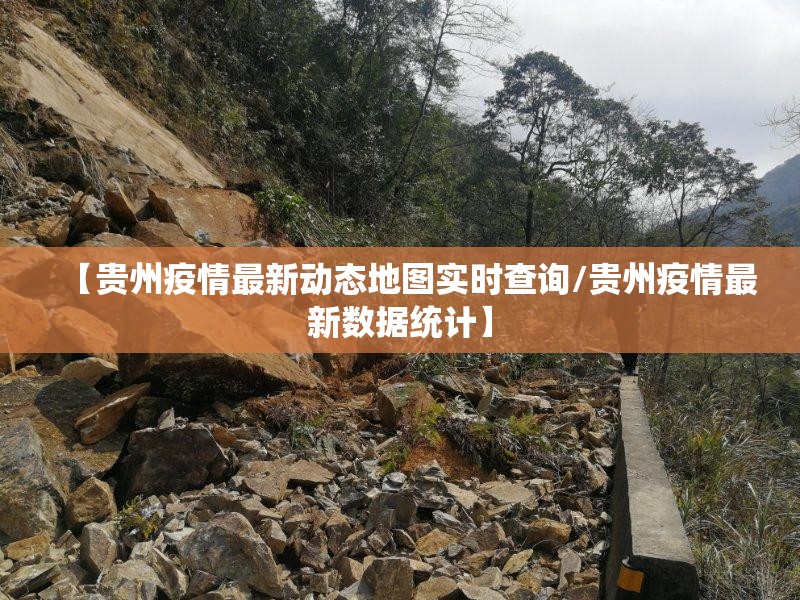 【贵州疫情最新动态地图实时查询/贵州疫情最新数据统计】