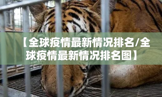 【全球疫情最新情况排名/全球疫情最新情况排名图】