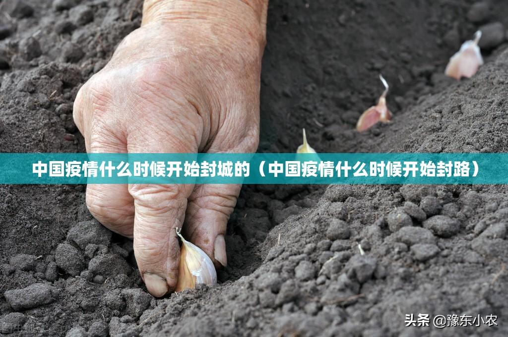中国疫情什么时候开始封城的（中国疫情什么时候开始封路）