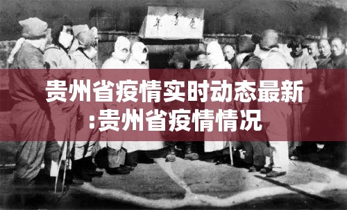 贵州省疫情实时动态最新:贵州省疫情情况