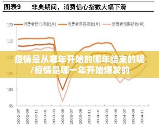 疫情是从哪年开始的哪年结束的呢/疫情是哪一年开始爆发的