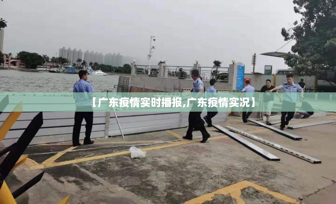 【广东疫情实时播报,广东疫情实况】