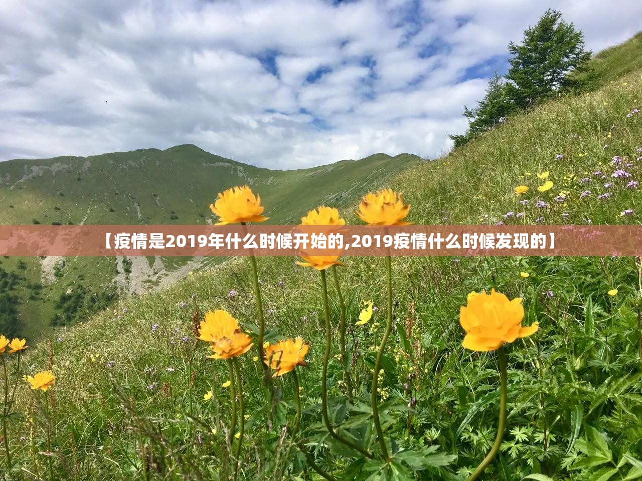 【疫情是2019年什么时候开始的,2019疫情什么时候发现的】