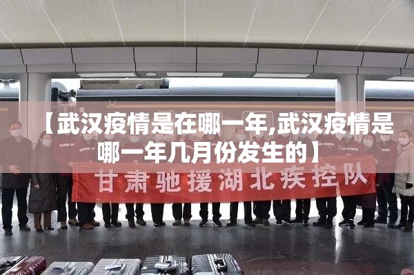【武汉疫情是在哪一年,武汉疫情是哪一年几月份发生的】