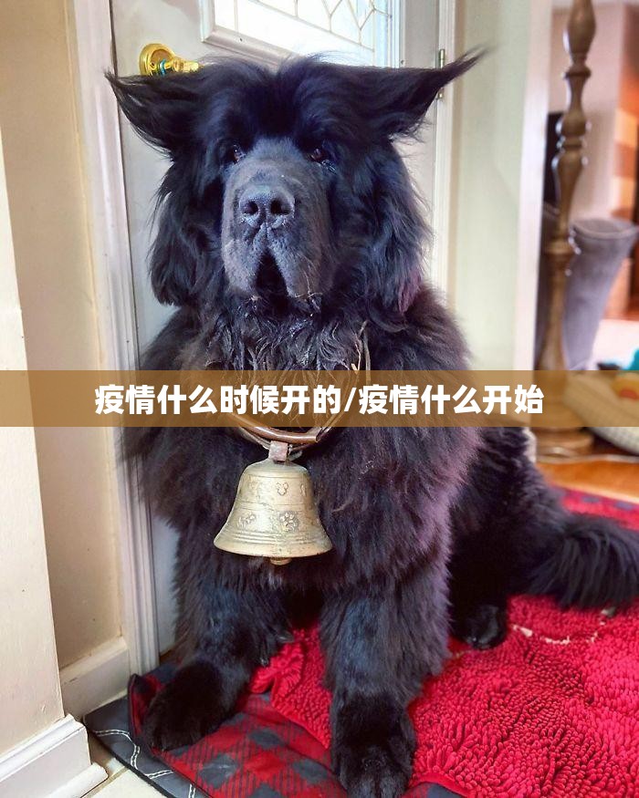 疫情什么时候开的/疫情什么开始
