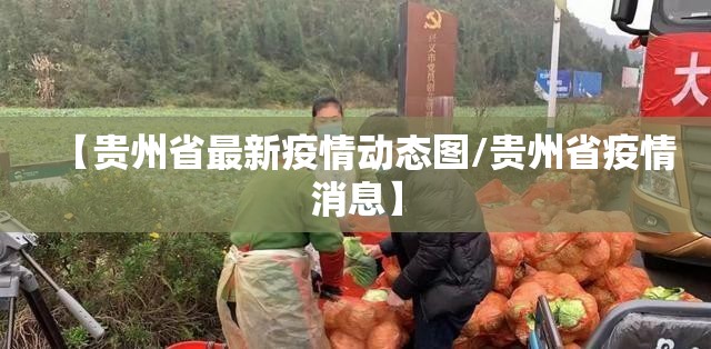 【贵州省最新疫情动态图/贵州省疫情消息】