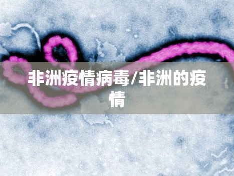 非洲疫情病毒/非洲的疫情