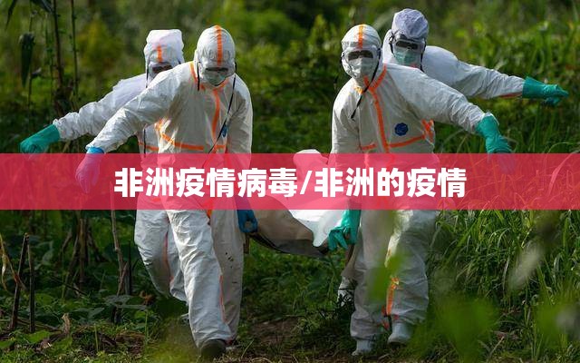 非洲疫情病毒/非洲的疫情