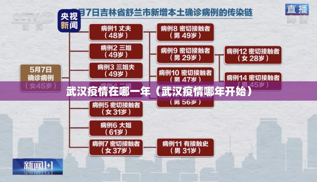 武汉疫情在哪一年（武汉疫情哪年开始）