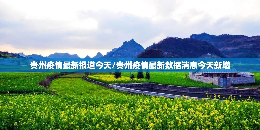 贵州疫情最新报道今天/贵州疫情最新数据消息今天新增