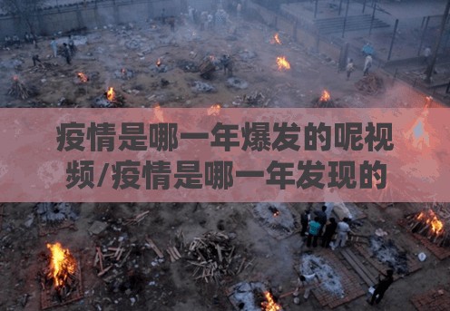 疫情是哪一年爆发的呢视频/疫情是哪一年发现的