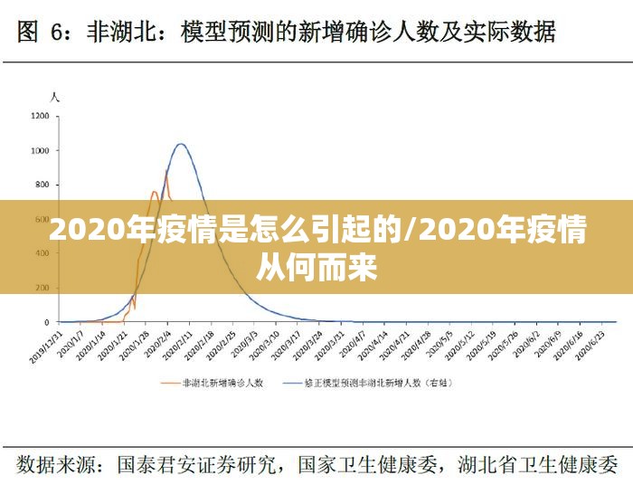 2020年疫情是怎么引起的/2020年疫情从何而来
