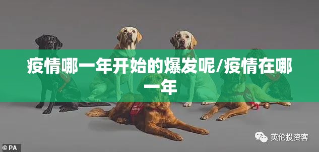 疫情哪一年开始的爆发呢/疫情在哪一年