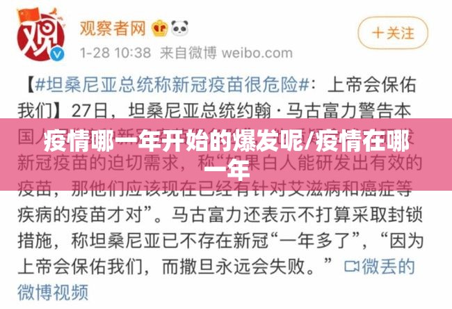 疫情哪一年开始的爆发呢/疫情在哪一年