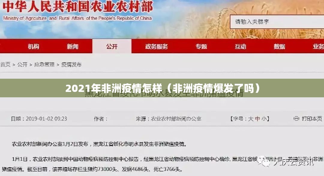 2021年非洲疫情怎样（非洲疫情爆发了吗）
