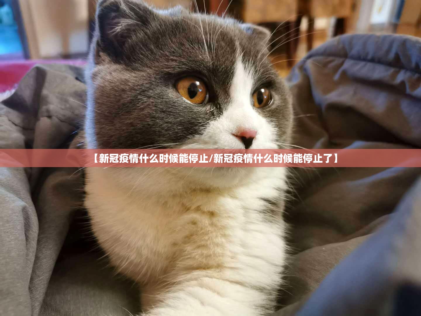 【疫情什么时候开放de,什么时候放开疫情封锁】