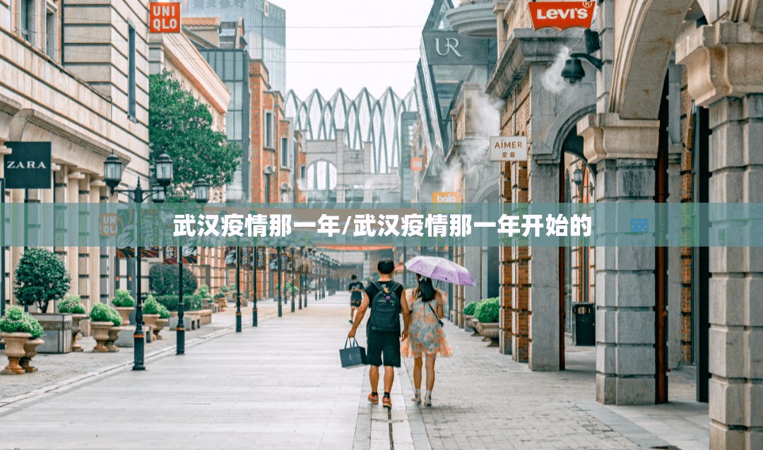 武汉疫情那一年/武汉疫情那一年开始的