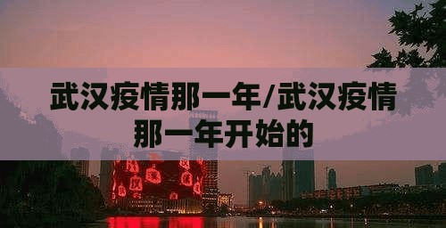 武汉疫情那一年/武汉疫情那一年开始的
