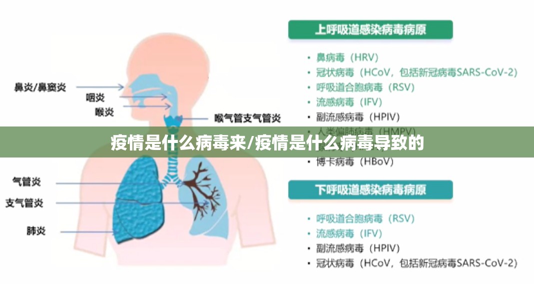 疫情是什么病毒来/疫情是什么病毒导致的