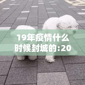 19年疫情什么时候封城的:2019疫情是从什么时候开始的