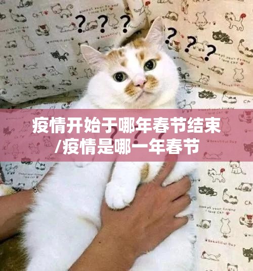疫情开始于哪年春节结束/疫情是哪一年春节