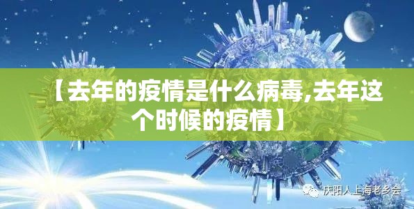 【去年的疫情是什么病毒,去年这个时候的疫情】