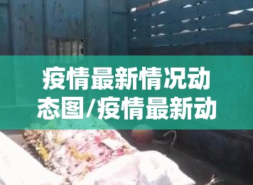 疫情最新情况动态图/疫情最新动态数据图