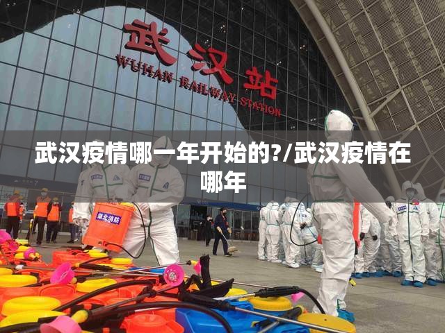 武汉疫情哪一年开始的?/武汉疫情在哪年