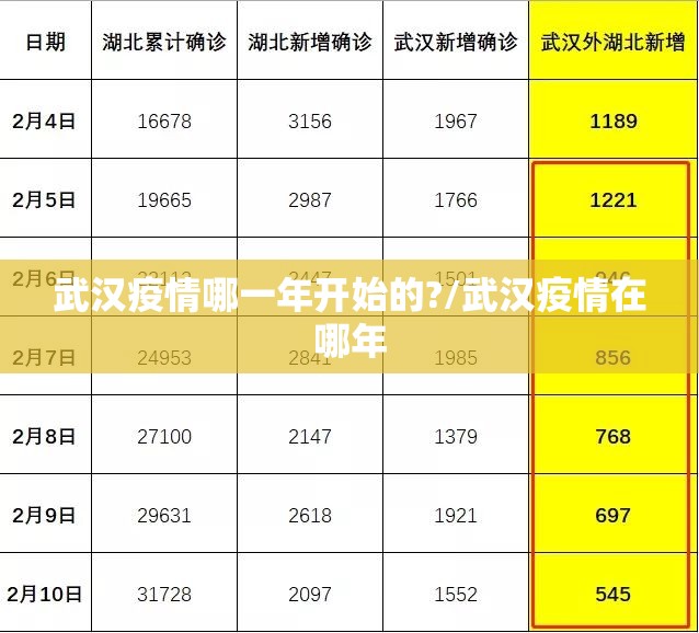 武汉疫情哪一年开始的?/武汉疫情在哪年