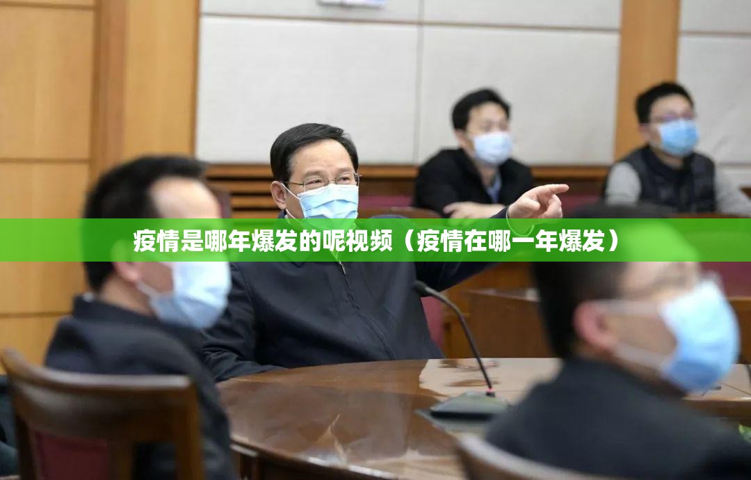 疫情是哪年爆发的呢视频（疫情在哪一年爆发）