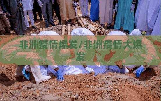 非洲疫情爆发/非洲疫情大爆发