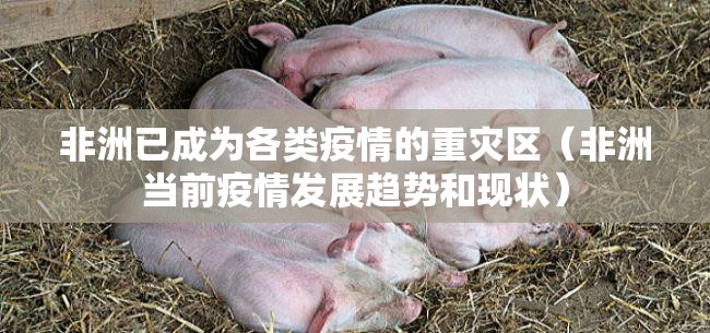 非洲已成为各类疫情的重灾区（非洲当前疫情发展趋势和现状）