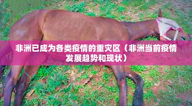 非洲已成为各类疫情的重灾区（非洲当前疫情发展趋势和现状）