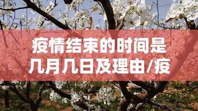 疫情结束的时间是几月几日及理由/疫情持续结束了时间