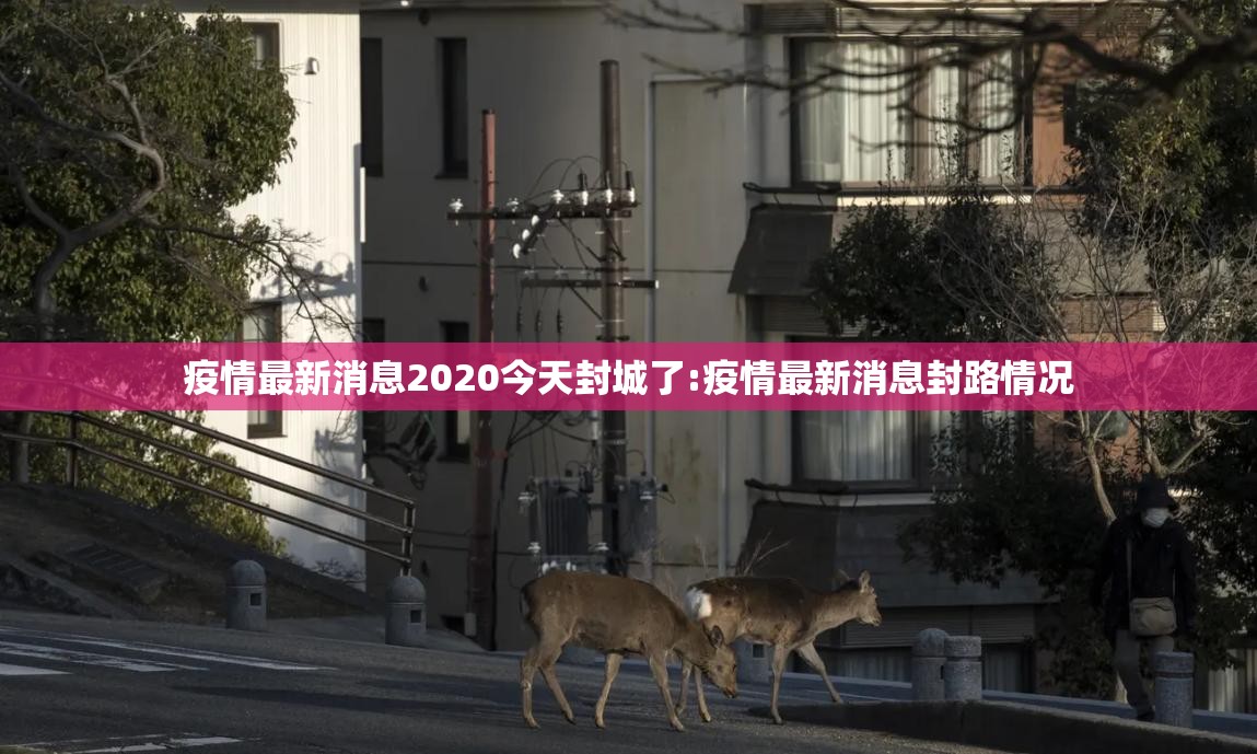 疫情最新消息2020今天封城了:疫情最新消息封路情况