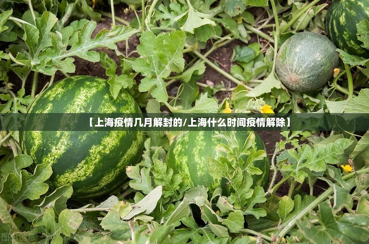 【上海疫情几月解封的/上海什么时间疫情解除】
