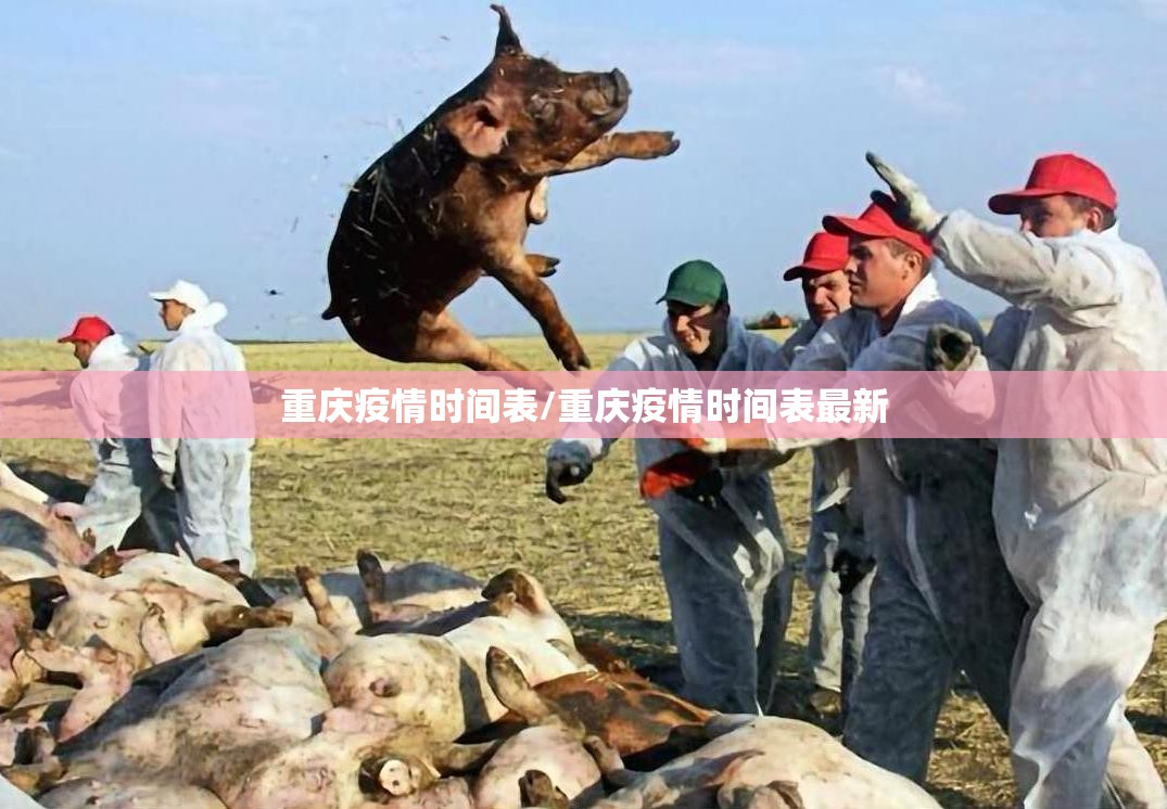 重庆疫情时间表/重庆疫情时间表最新