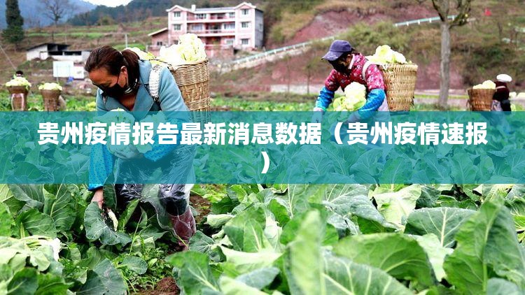 贵州疫情报告最新消息数据（贵州疫情速报）
