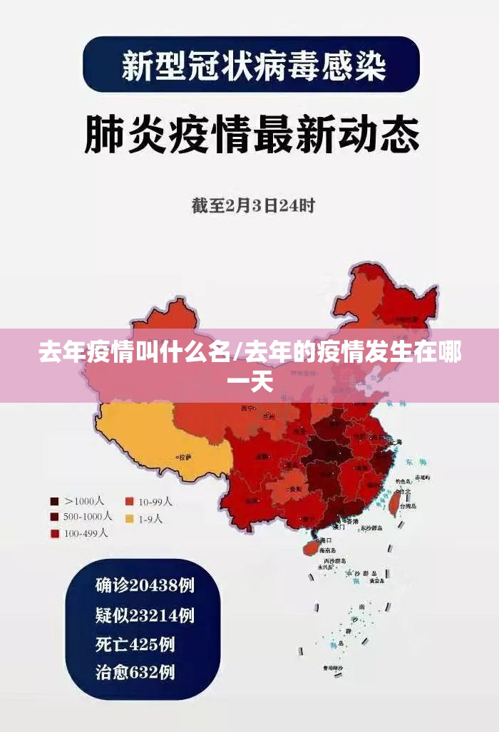 去年疫情叫什么名/去年的疫情发生在哪一天