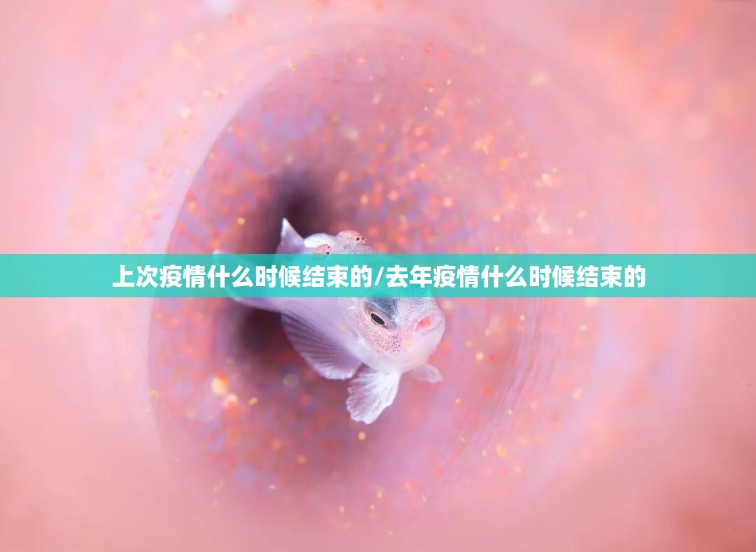 上次疫情什么时候结束的/去年疫情什么时候结束的