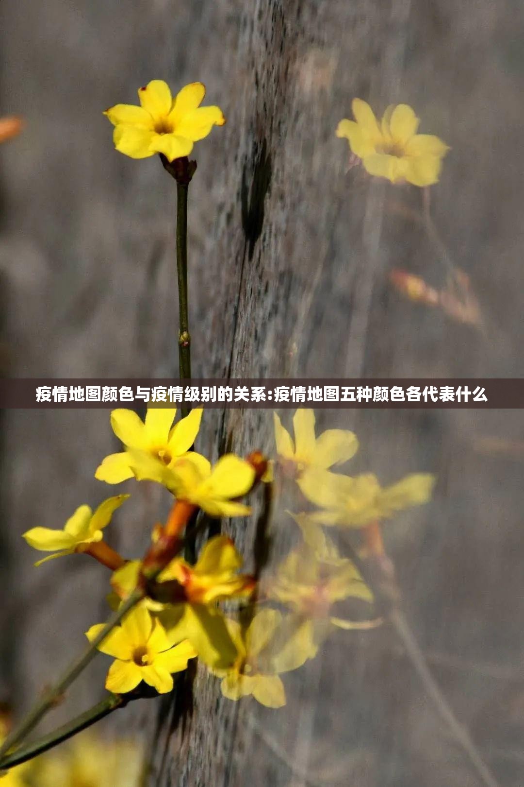 疫情地图颜色与疫情级别的关系:疫情地图五种颜色各代表什么